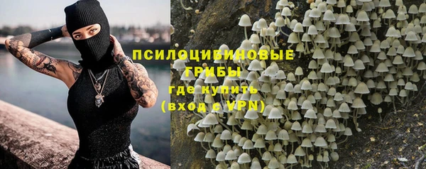 гашик Армянск