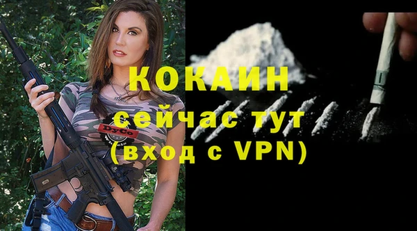 соль ск Арсеньев