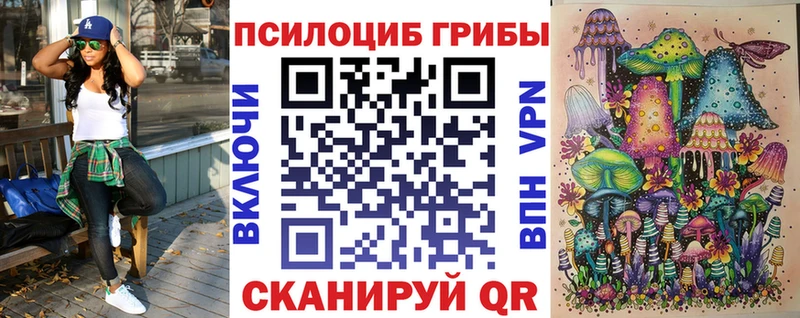 hydra как зайти  Кадников  Галлюциногенные грибы прущие грибы  купить наркоту 